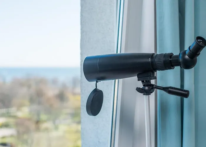 Avis - Skwer Kosciuszki 34a